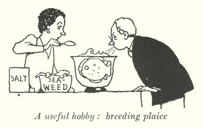 Hyödyllinen harrastus, punakampelan kasvatus (litho) tekijältä William Heath Robinson