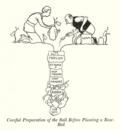 Maaperän huolellinen valmistelu ennen ruusupenkin istuttamista (litho) tekijältä William Heath Robinson