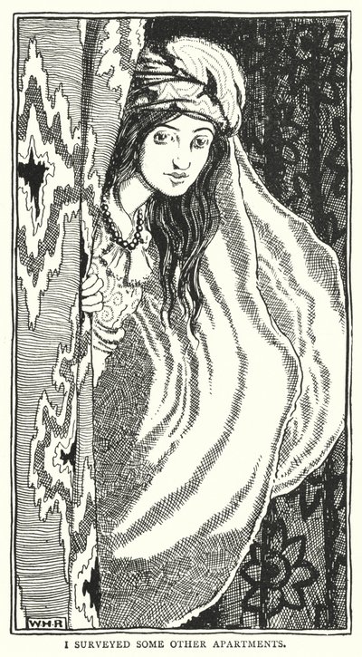 Katselin joitain muita asuntoja (kaiverrus) tekijältä William Heath Robinson