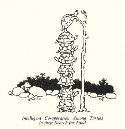Älykäs yhteistyö kilpikonnien välillä heidän etsiessään ruokaa (litho) tekijältä William Heath Robinson