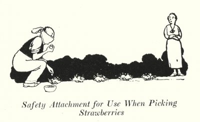 Turvakiinnitys mansikoita poimittaessa (litho) tekijältä William Heath Robinson