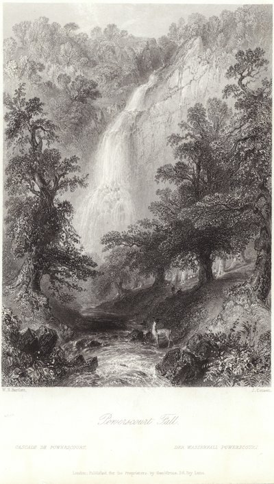 Powerscourt Fall Dargle-joella tekijältä William Henry Bartlett