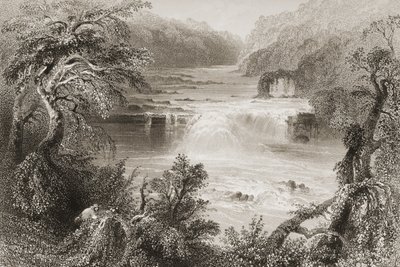 Lohihyppy Leixlipissä, Kildaren kreivikunnassa, George Virtuen "Scenery and Antiquities of Ireland", 1860-luku tekijältä William Henry Bartlett