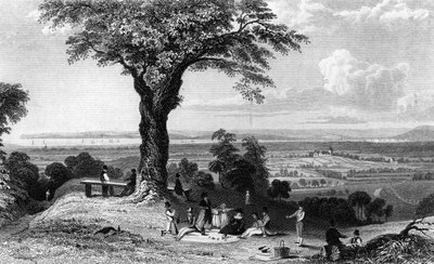 Kohtaus Laindon Hillistä lähellä Horndonia Essexissä, kaiverrus Henry Wallis, 1832 tekijältä William Henry Bartlett