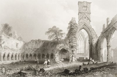 Sligo Abbey, Sligon kreivikunta, Irlanti, George Virtuen teoksesta "Scenery and Antiquities of Ireland", 1860-luku (kaiverrus) tekijältä William Henry Bartlett