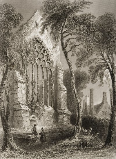 Youghal Abbey, Corkin kreivikunta, Irlanti, George Virtuen teoksesta "Scenery and Antiquities of Ireland", 1860-luku tekijältä William Henry Bartlett