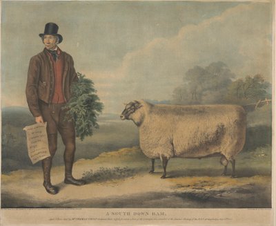 South Down Ram; 3-vuotias, kasvattaja Thomas Crisp, Gedgrave Hall, Suffolk, josta myönnettiin 30 Severeignsin palkinto R.A.S.:n vuosikokouksessa. Cambridgessa 15. heinäkuuta 1840 tekijältä William Henry Davis