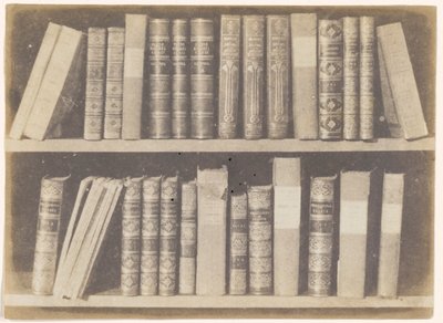 Kohtaus kirjastossa, levy VIII Luonnonkynästä tekijältä William Henry Fox Talbot