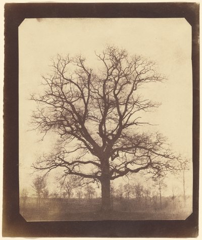 [Tammi talvella] tekijältä William Henry Fox Talbot