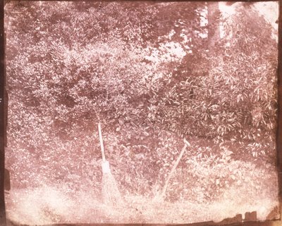 Luuta ja lapio, 1842 tekijältä William Henry Fox Talbot
