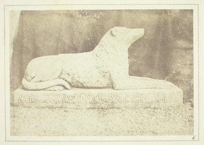Sir W. Scottin lempikoiran Maidan kuva Abbotsfordin salin oven vieressä. tekijältä William Henry Fox Talbot