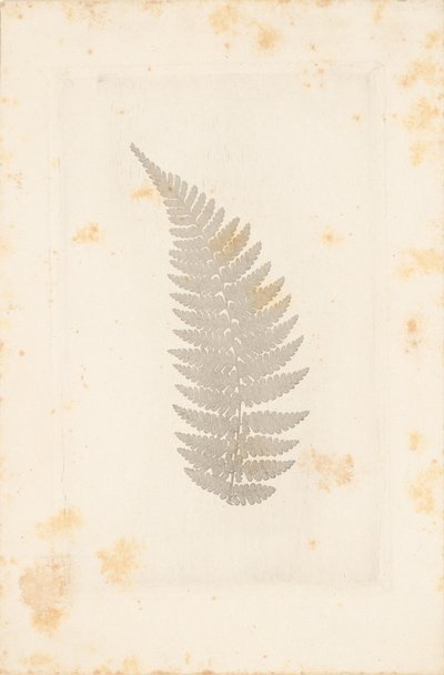 [Far] tekijältä William Henry Fox Talbot