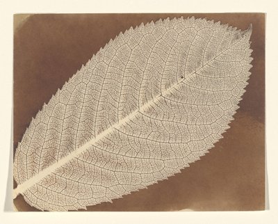  tekijältä William Henry Fox Talbot