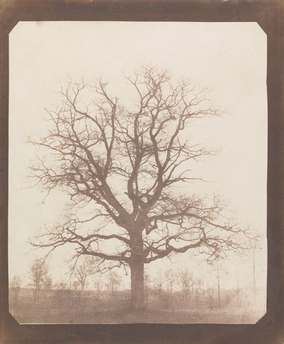  tekijältä William Henry Fox Talbot
