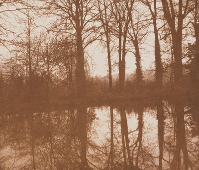 Heijastuksia, 1843 (seepiakuva) tekijältä William Henry Fox Talbot