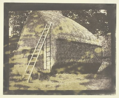 Heinäsuovasta tekijältä William Henry Fox Talbot