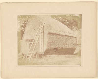 Heinäsuoppa tekijältä William Henry Fox Talbot
