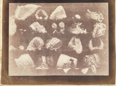 Kutomon ikkuna tekijältä William Henry Fox Talbot