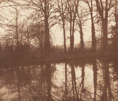 Talvipuut, heijastuvat lammikossa tekijältä William Henry Fox Talbot