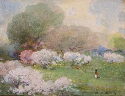 Cherry Blossoms, n.d. tekijältä William Henry Holmes