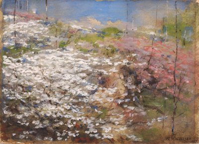 Field of Blossoms, 1927. tekijältä William Henry Holmes