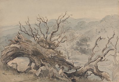 Kaatunut tammi tekijältä William Henry Hunt
