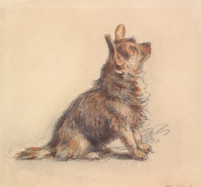  tekijältä William Henry Hunt