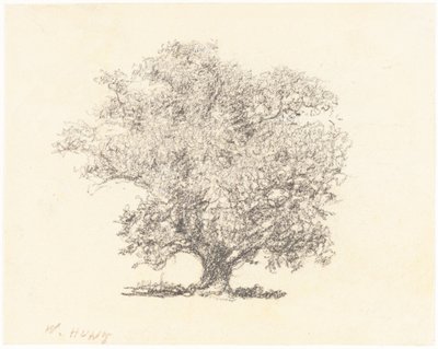 Täyslehtinen puu tekijältä William Henry Hunt