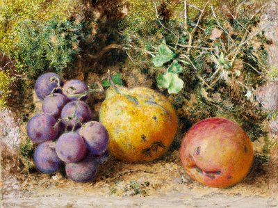 Black Grapes, Quince ja Newtown Pippin, 1861 (wc kortilla) tekijältä William Henry Hunt
