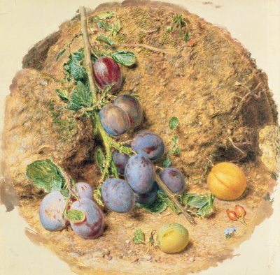 Luumut tekijältä William Henry Hunt