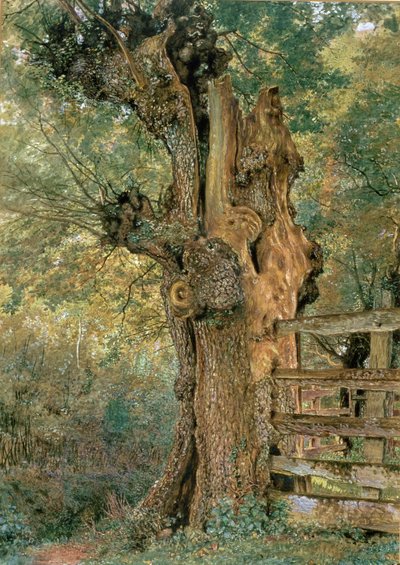 Pollardijalava kylän punnan reunalla tekijältä William Henry Hunt