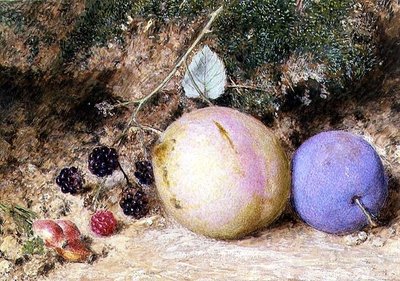 Ruusunmarjat, karhunvatukat ja luumut tekijältä William Henry Hunt