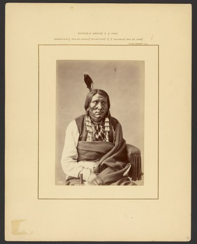 [Hyökkäys Haukiin - (Brulé Dakota)] tekijältä William Henry Jackson