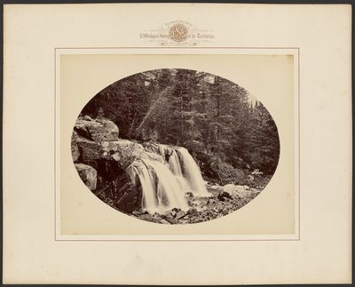 [Gallatinin piirikunnan latvavedet, Yellowstonen kansallispuisto, Montana] tekijältä William Henry Jackson