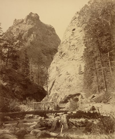 South Cheyenne Cañon tekijältä William Henry Jackson