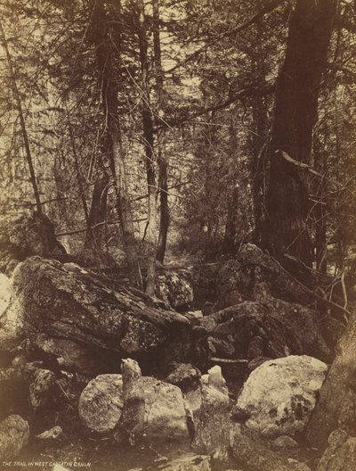 Polku West Gallatin Cañonissa, n. 1870-luku. tekijältä William Henry Jackson