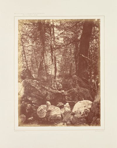 Polku metsässä, Gallatin Cañonissa tekijältä William Henry Jackson