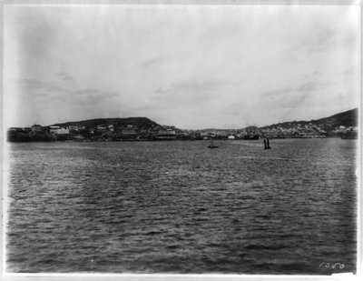 Vladivostok - panoraamanäkymä satamasta tekijältä William Henry Jackson