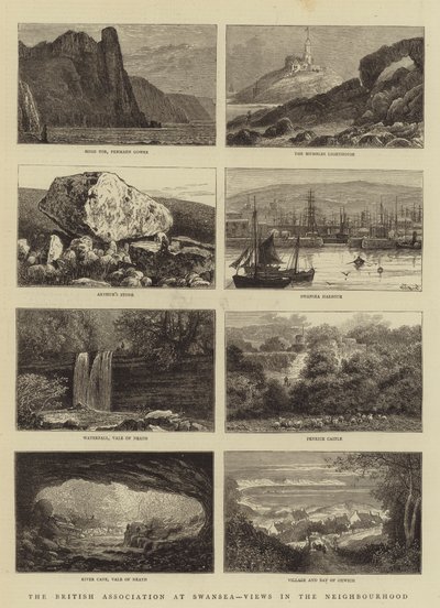 British Association at Swansea, Näkymät naapurustossa tekijältä William Henry James Boot