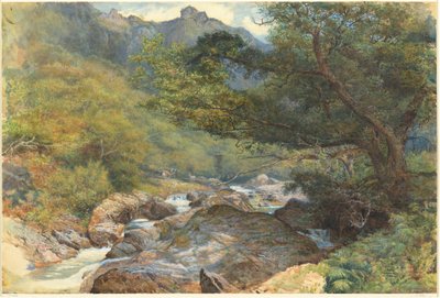 East Lynissä, Pohjois-Devonissa tekijältä William Henry Millais