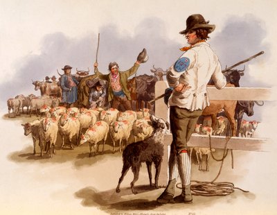 Smithfield Drover, 