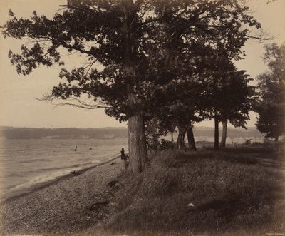 Cayuga Lake, Sheldrake,c. 1895 (kuva) tekijältä William Herman Rau