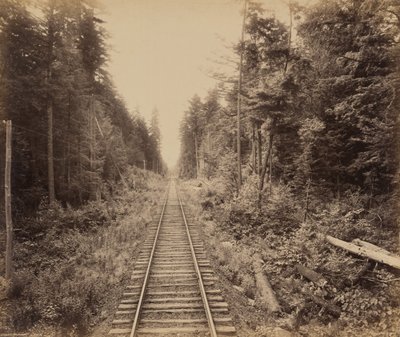 Hemlock Forest,c. 1895 (kuva) tekijältä William Herman Rau