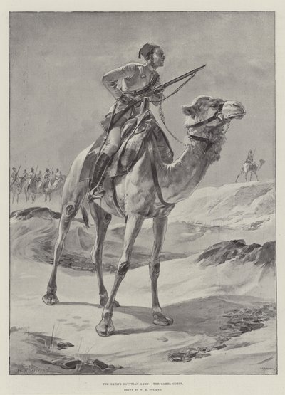 Alkuperäinen Egyptin armeija, Camel Corps tekijältä William Heysham Overend