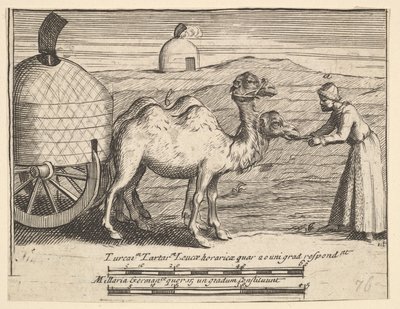 Kaksi dromedaaria Aubry de La Mottrayes matkustaa ympäri Eurooppaa, Aasiaa ja osaan ..., 1723-24. tekijältä William Hogarth