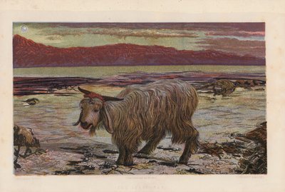 Syntipukki (värilitografia) tekijältä William Holman (after) Hunt