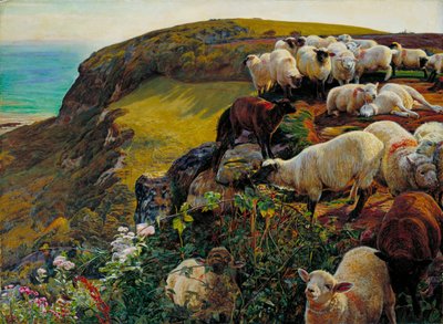 Englannin rannikot tekijältä William Holman Hunt