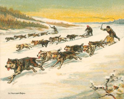 Historialliset ja modernit kilpailut, Kanadan koiravaljakkokilpailut (chromolitho) tekijältä William Hounsom Byles