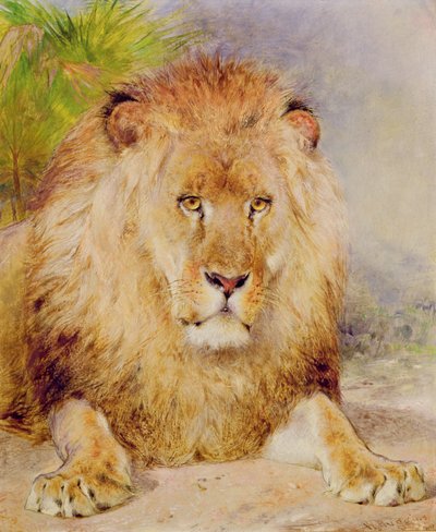 Leijona tekijältä William Huggins