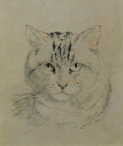 Tabby Cat, 1874 (kynä, värikynä ja puuhiili paperilla) tekijältä William Huggins